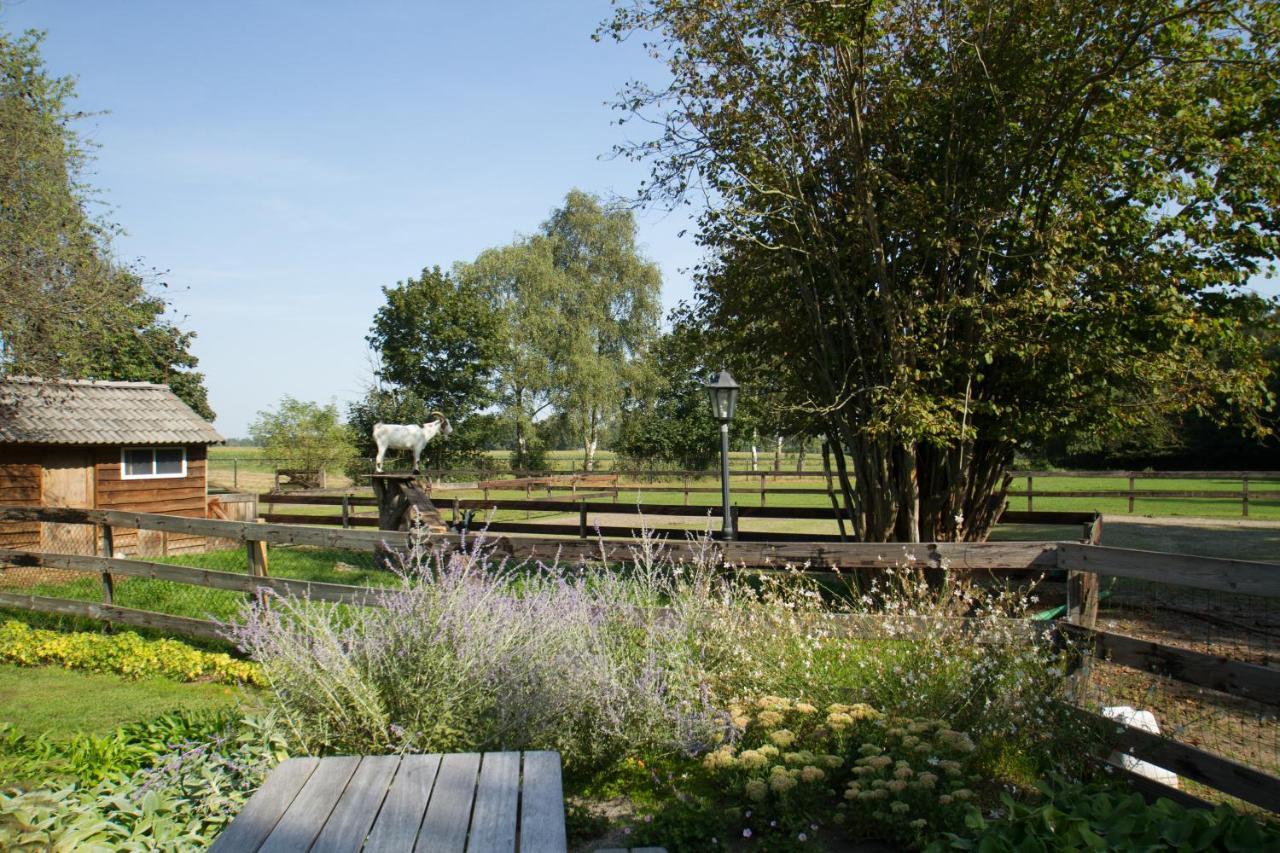Het Rooversnest Riel Luaran gambar